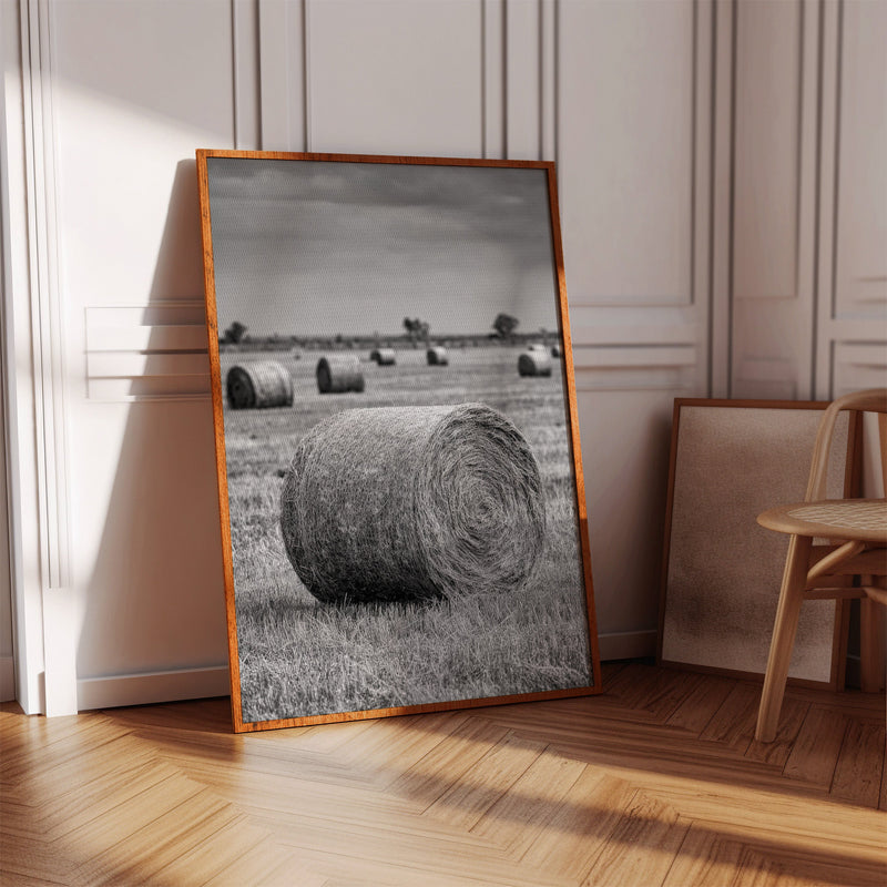 Harvested Echoes of Summer