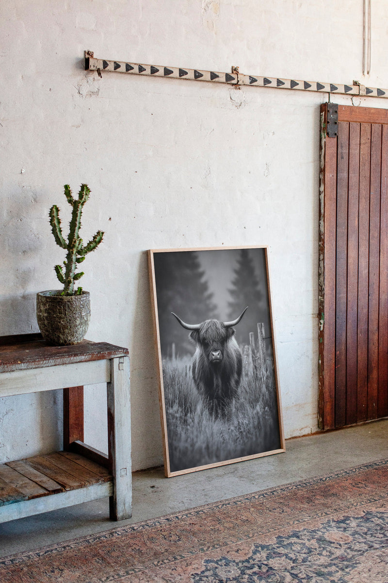 Majesty Amidst Morning Mist