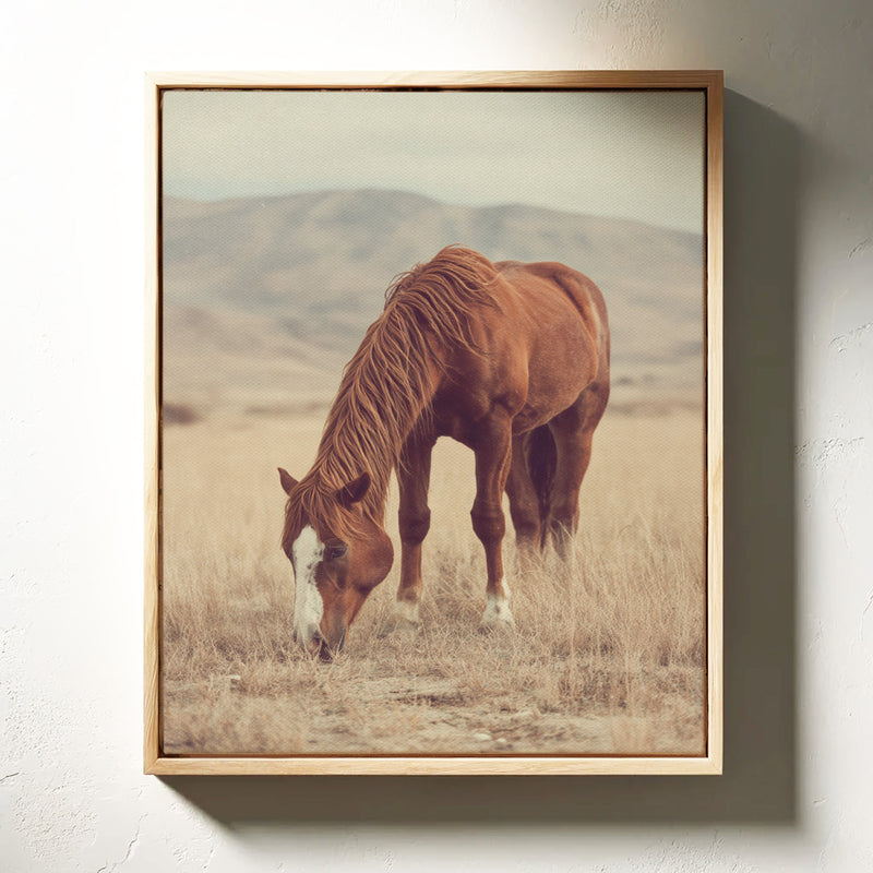 The Last Bite of Sunlit Grass