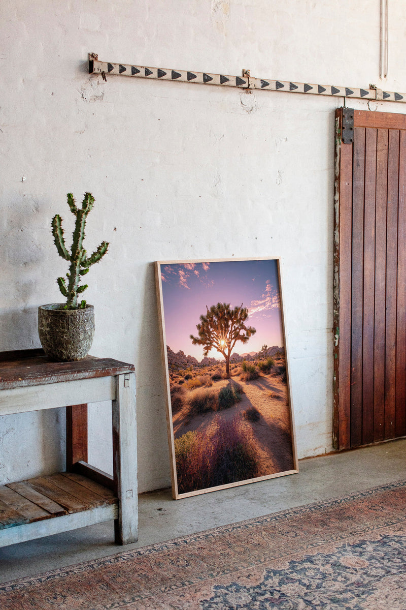 The Sun's Embrace on Desert Sage