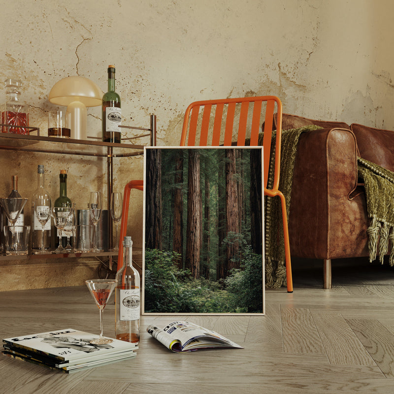 Beneath Ancient Canopy