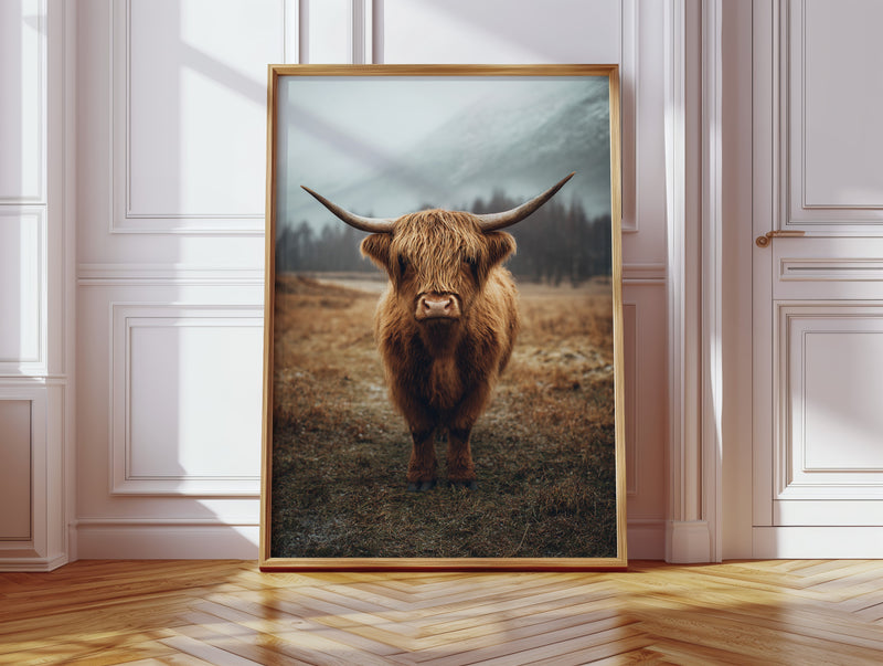 Guardian of the Highland Meadow