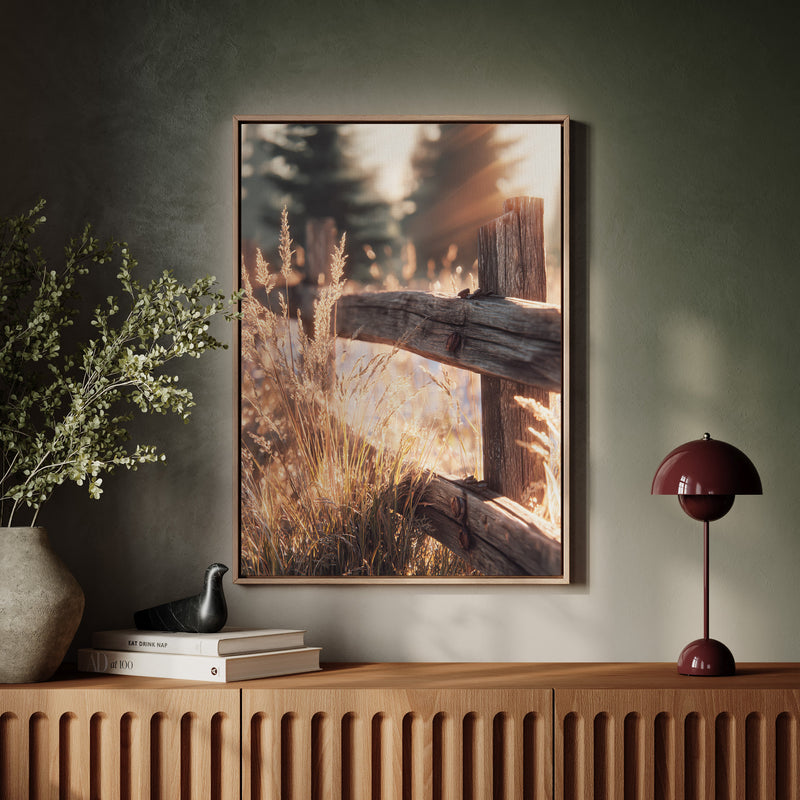 Golden Light on Weathered Wood