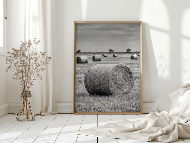 Harvested Echoes of Summer