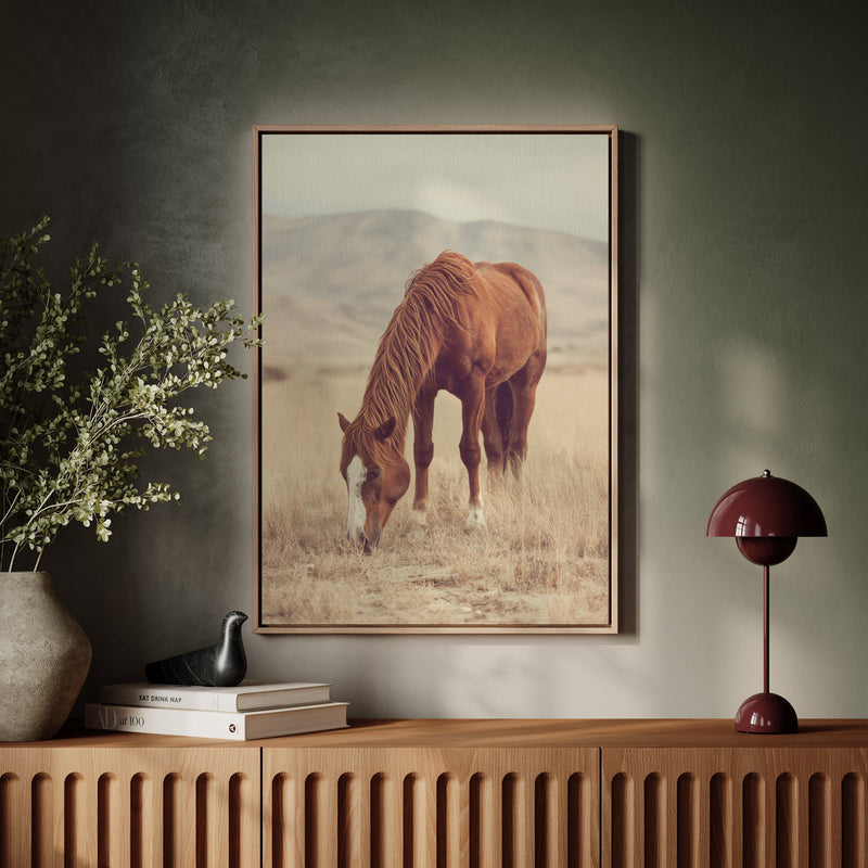 The Last Bite of Sunlit Grass