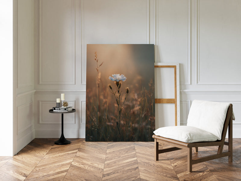 A Single Bloom In Sunrise's Embrace