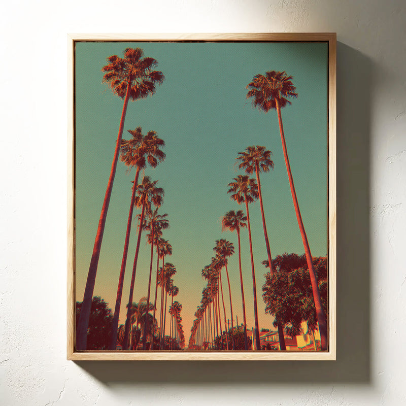 Avenue of Golden Palms