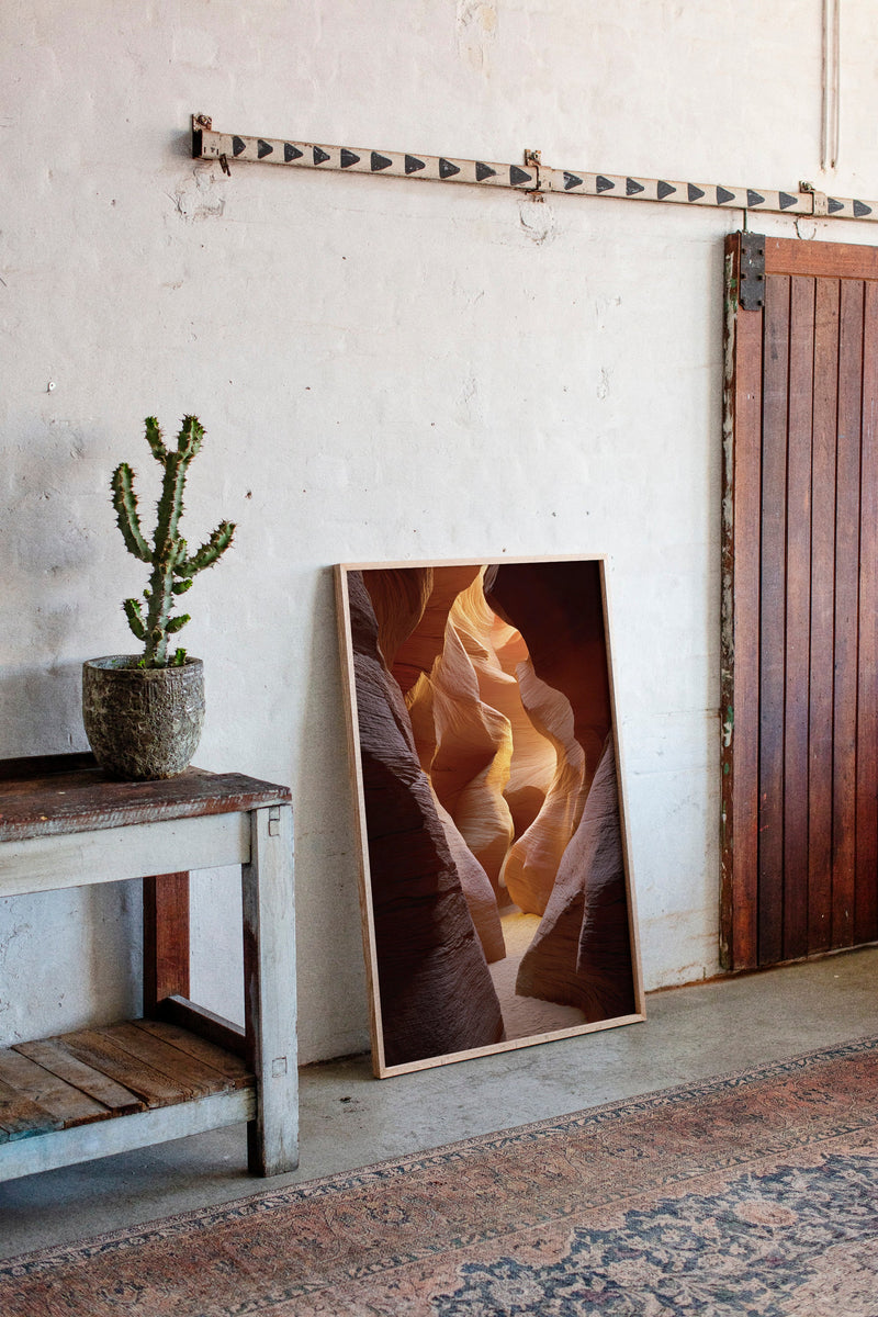 The Canyon's Golden Embrace