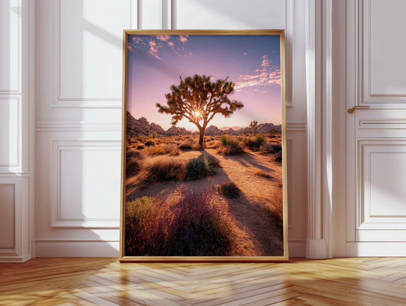 The Sun's Embrace on Desert Sage