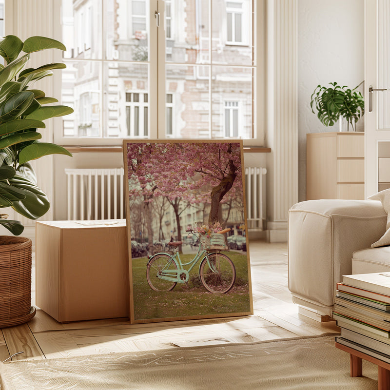 Bicycle Beneath Blossoming Canopy