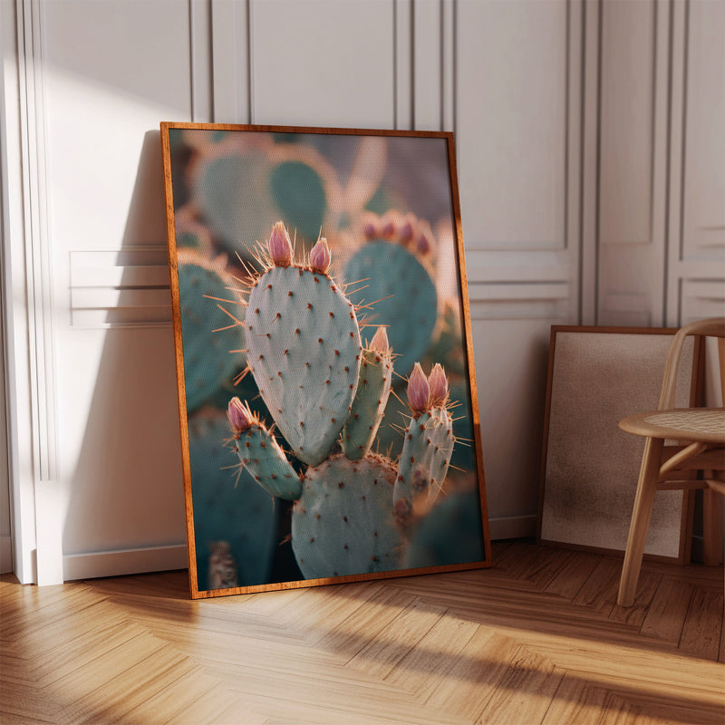 Cacti Embrace the Golden Dawn