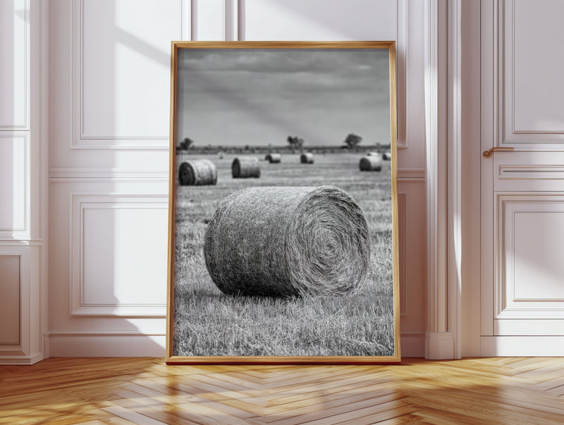 Harvested Echoes of Summer