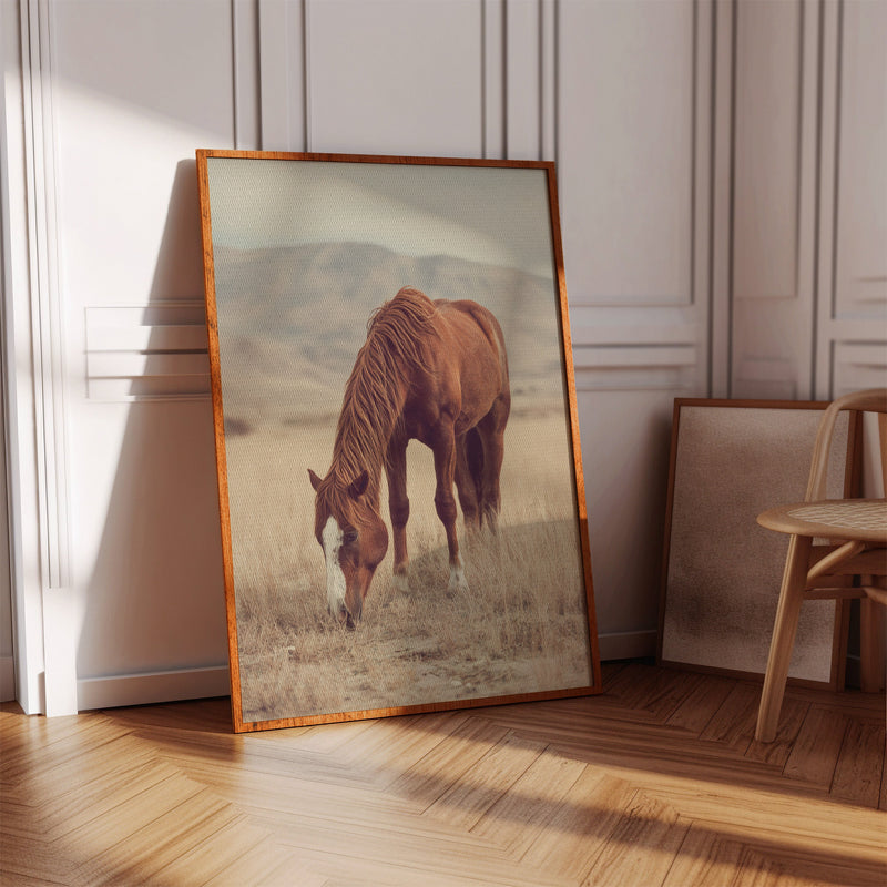 The Last Bite of Sunlit Grass