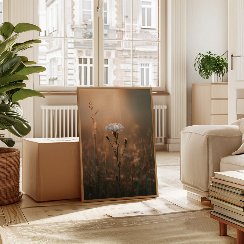 A Single Bloom In Sunrise's Embrace