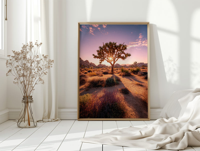 The Sun's Embrace on Desert Sage