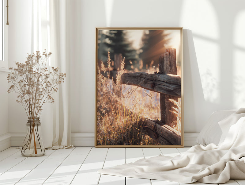 Golden Light on Weathered Wood