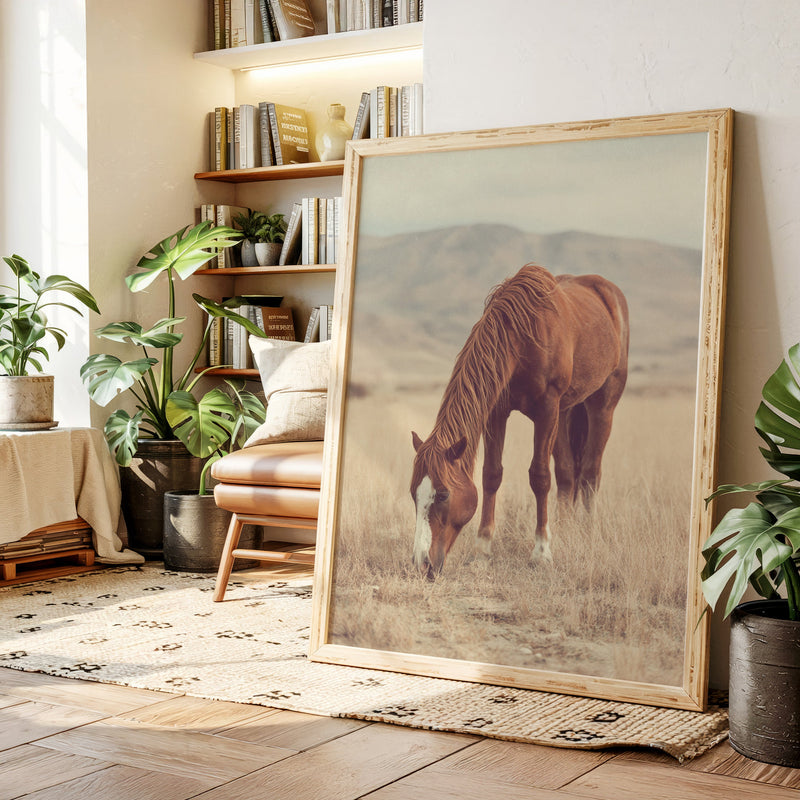 The Last Bite of Sunlit Grass