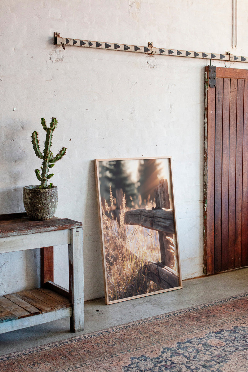 Golden Light on Weathered Wood