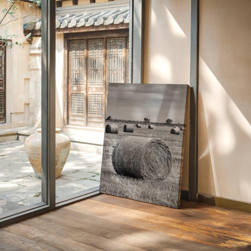 Harvested Echoes of Summer