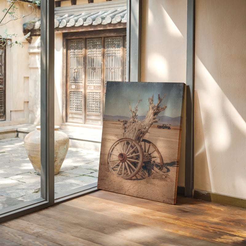 Roots of Forgotten Journeys