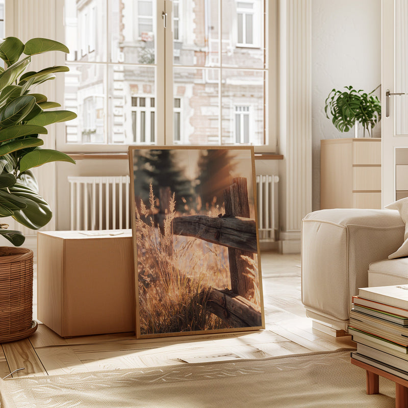 Golden Light on Weathered Wood