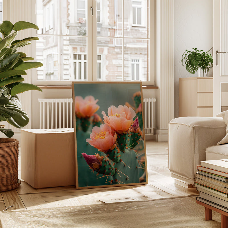 Blossoms In The Desert's Embrace