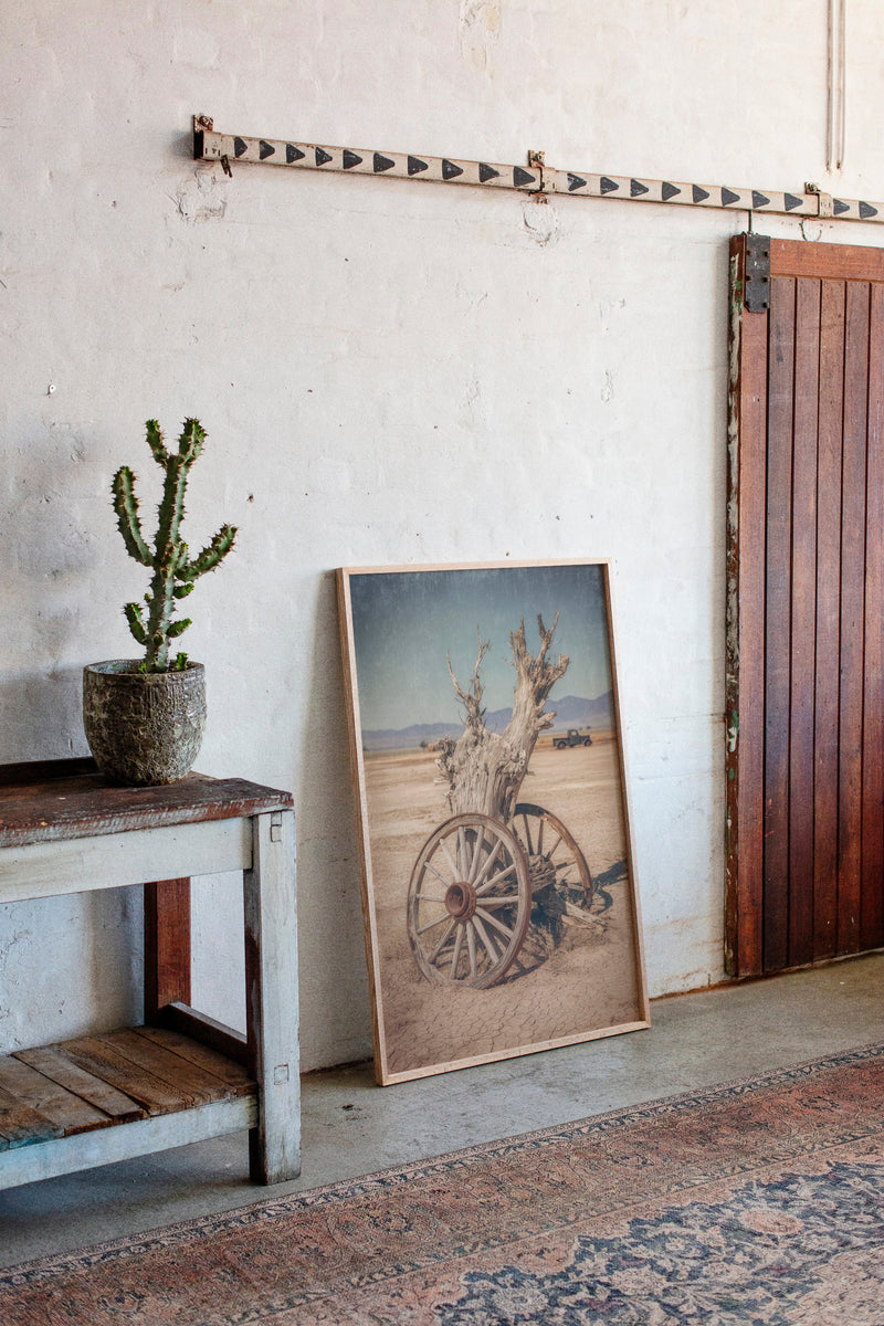 Roots of Forgotten Journeys