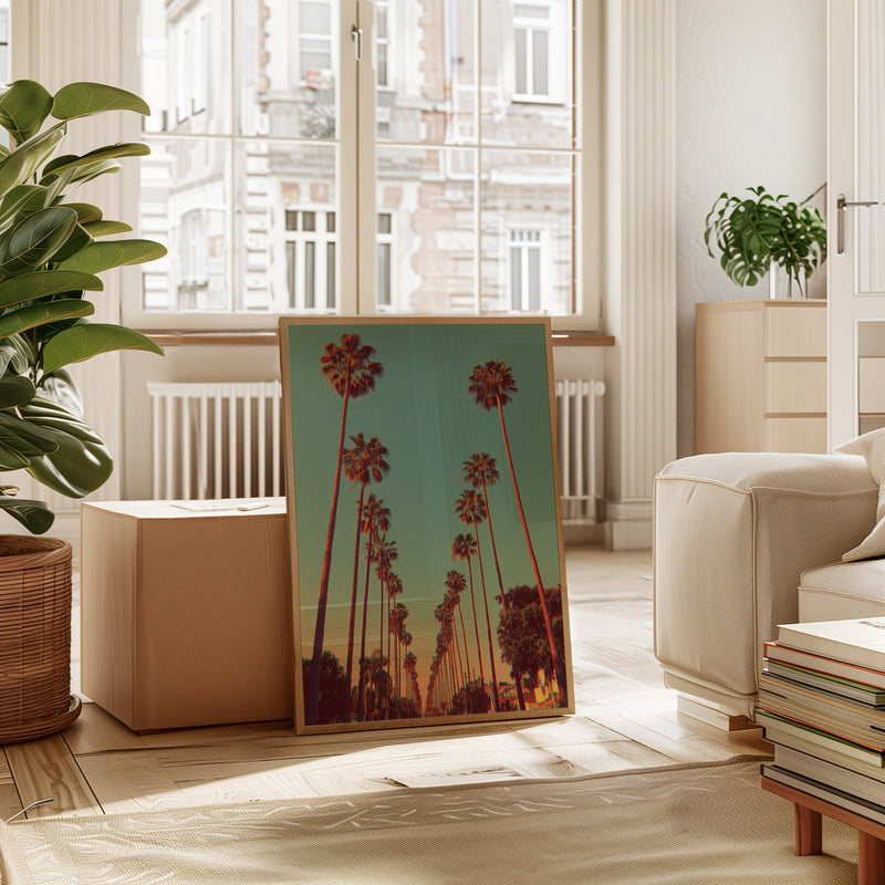 Avenue of Golden Palms