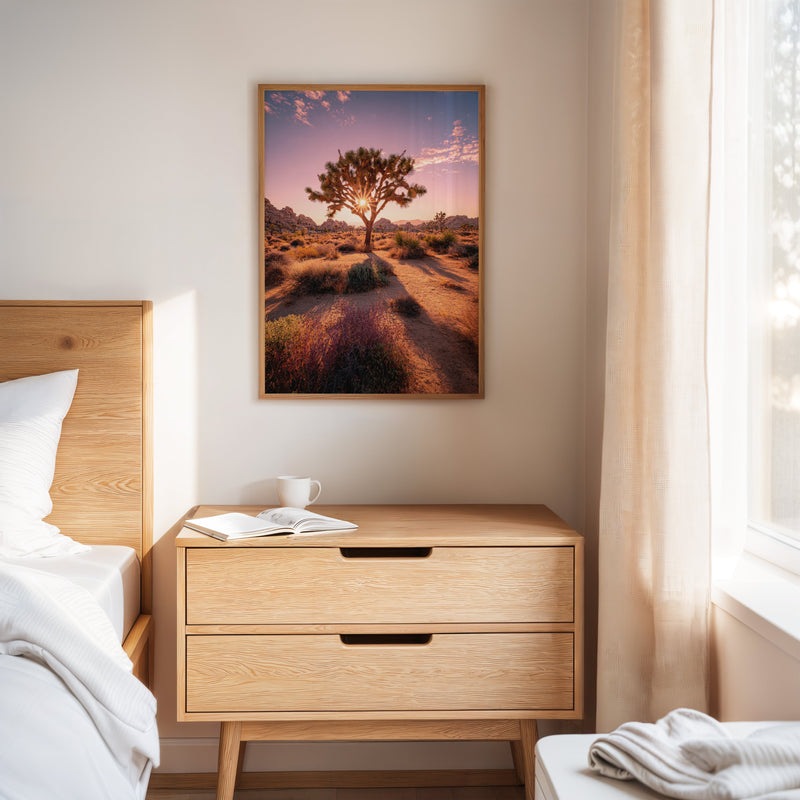 The Sun's Embrace on Desert Sage