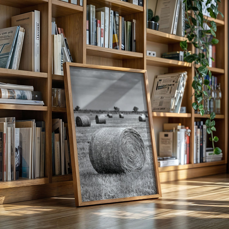 Harvested Echoes of Summer