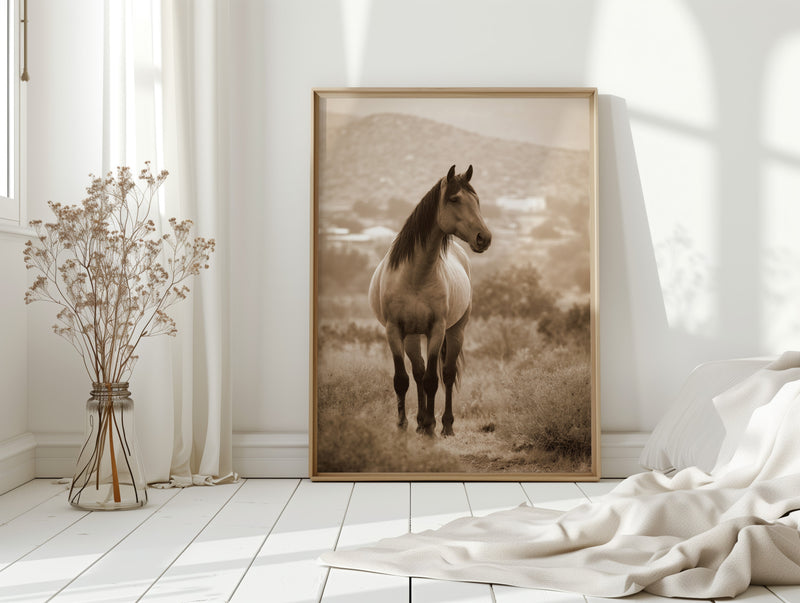 In the Embrace of Distant Hills