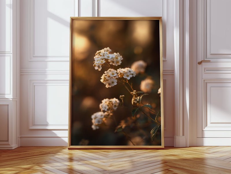 In the Glow of Petal Promises