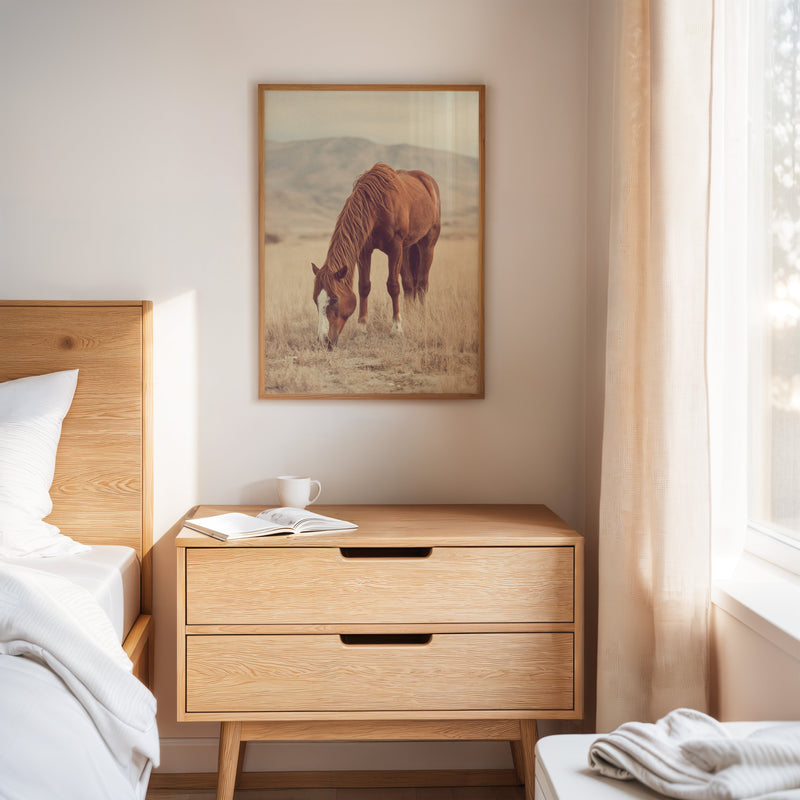 The Last Bite of Sunlit Grass