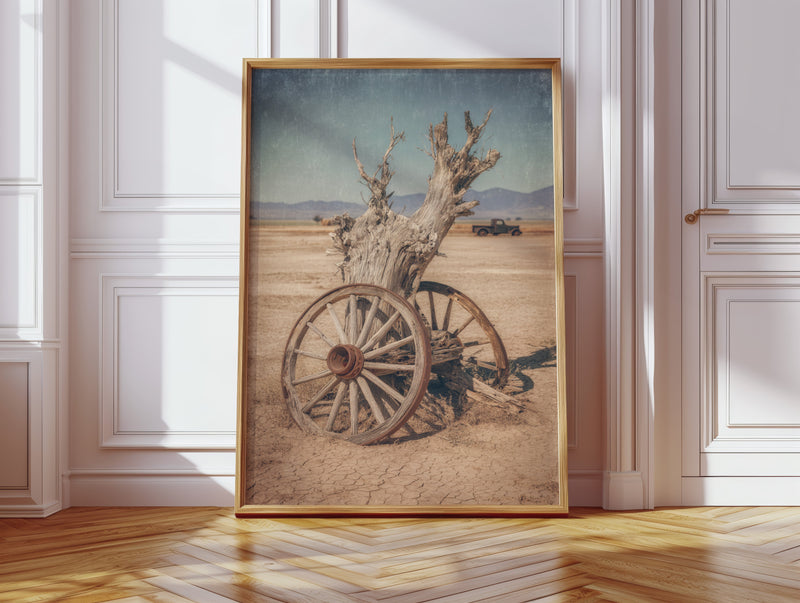 Roots of Forgotten Journeys