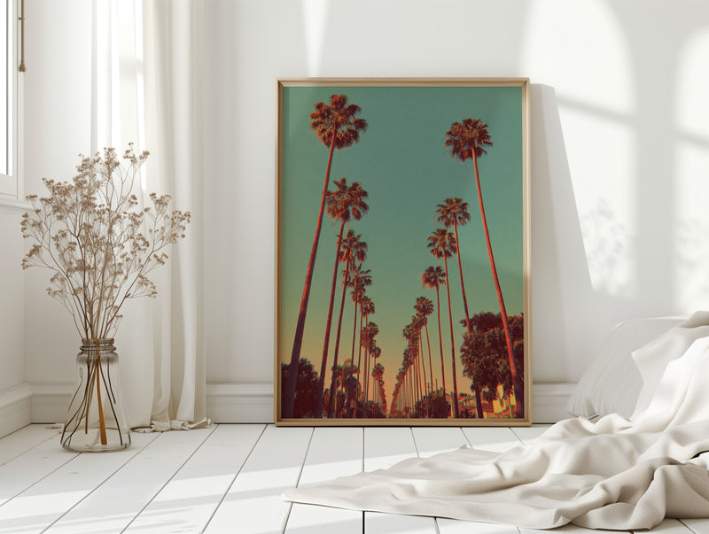 Avenue of Golden Palms