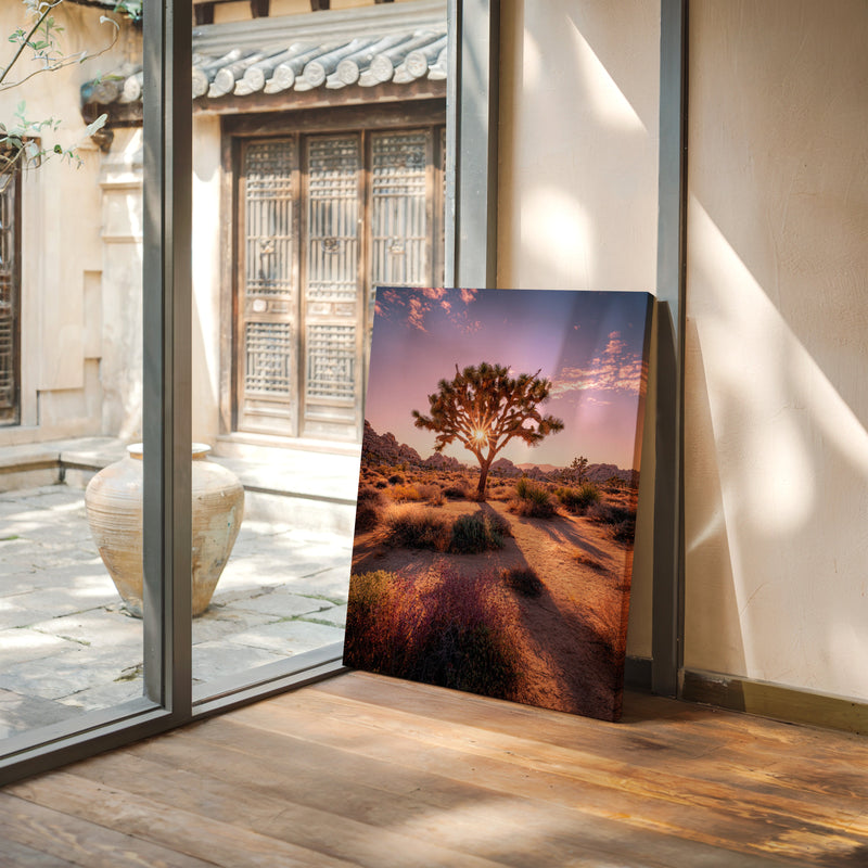 The Sun's Embrace on Desert Sage