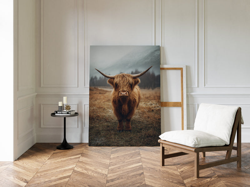 Guardian of the Highland Meadow