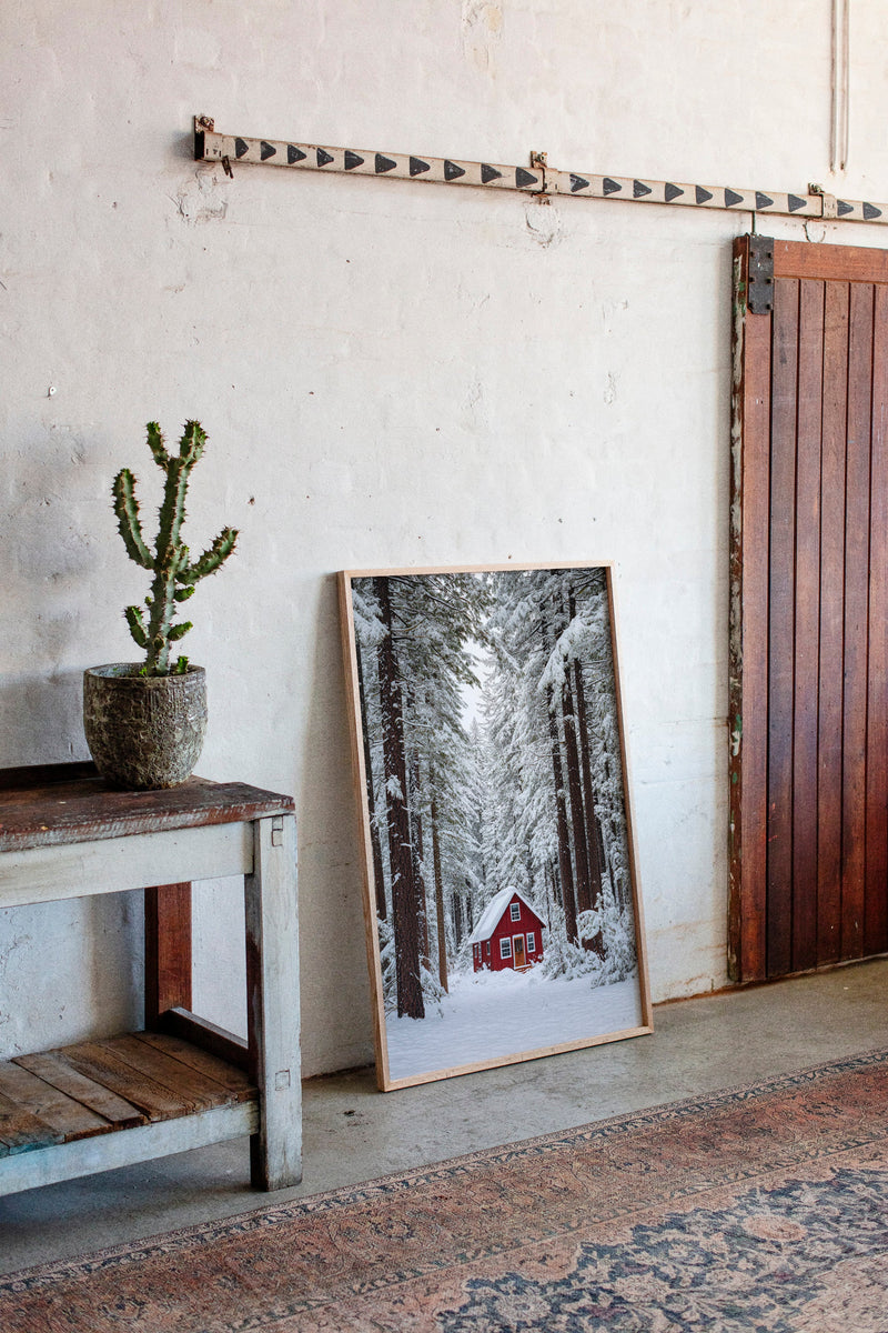 Sanctuary Beneath Snow-Covered Pines
