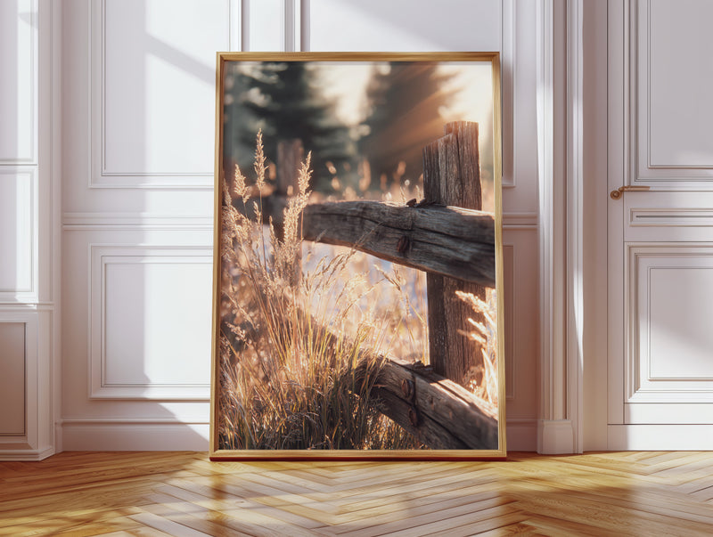 Golden Light on Weathered Wood