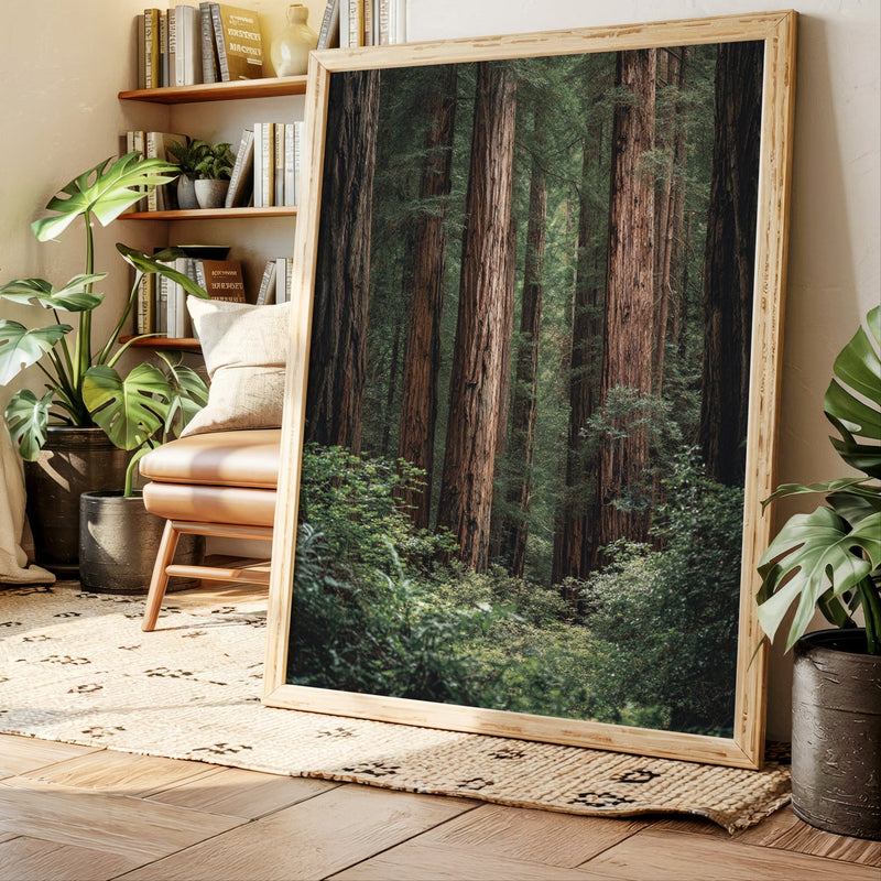 Beneath Ancient Canopy