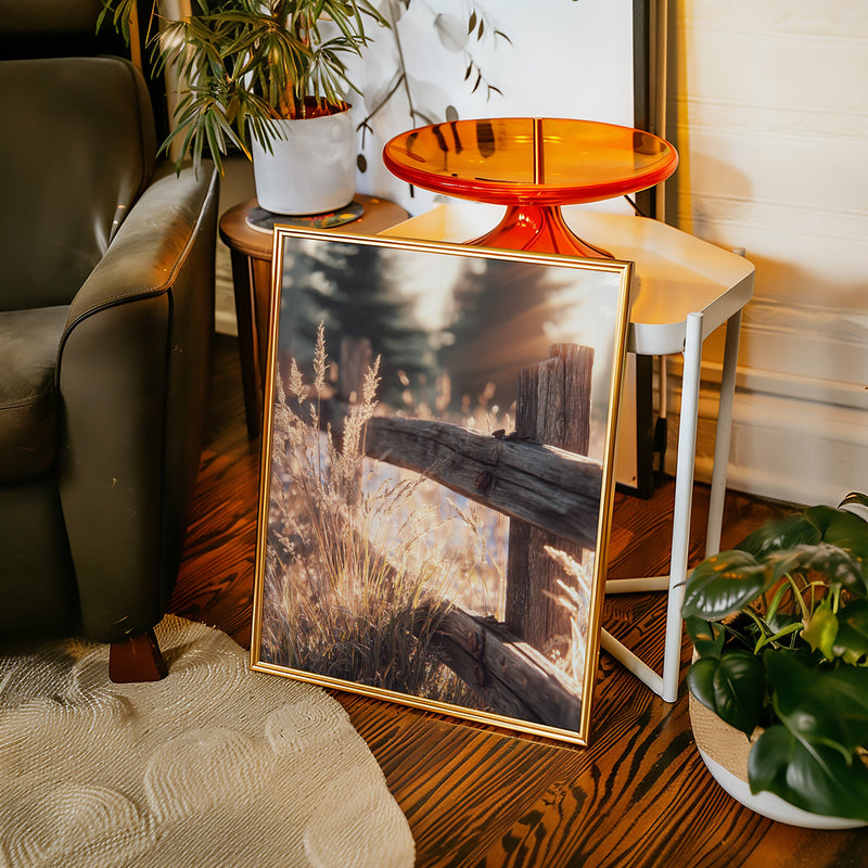 Golden Light on Weathered Wood