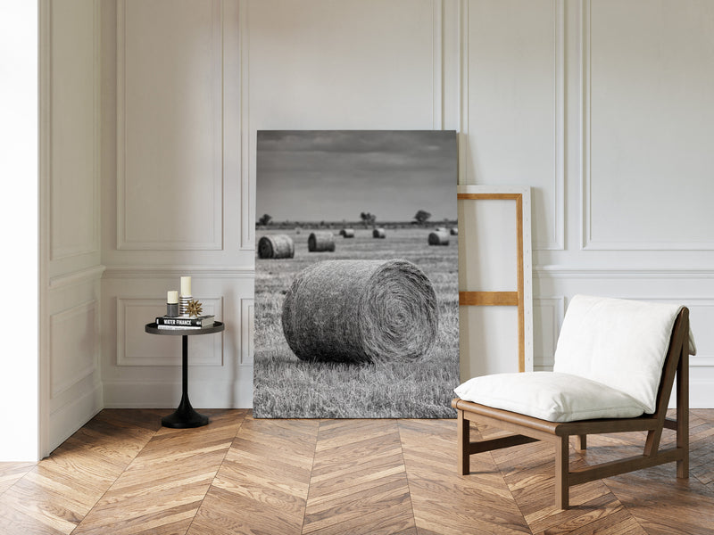 Harvested Echoes of Summer