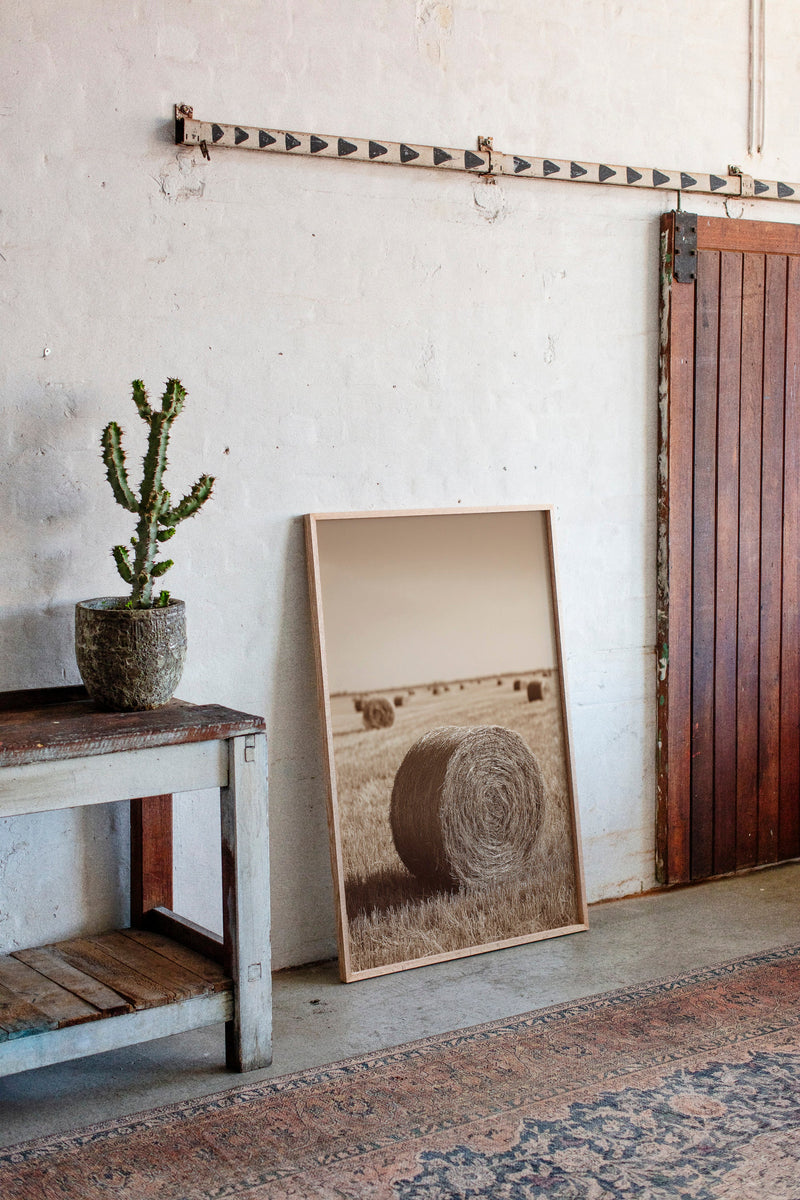 Harvested Echoes of Autumn