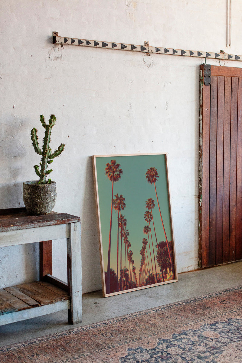 Avenue of Golden Palms