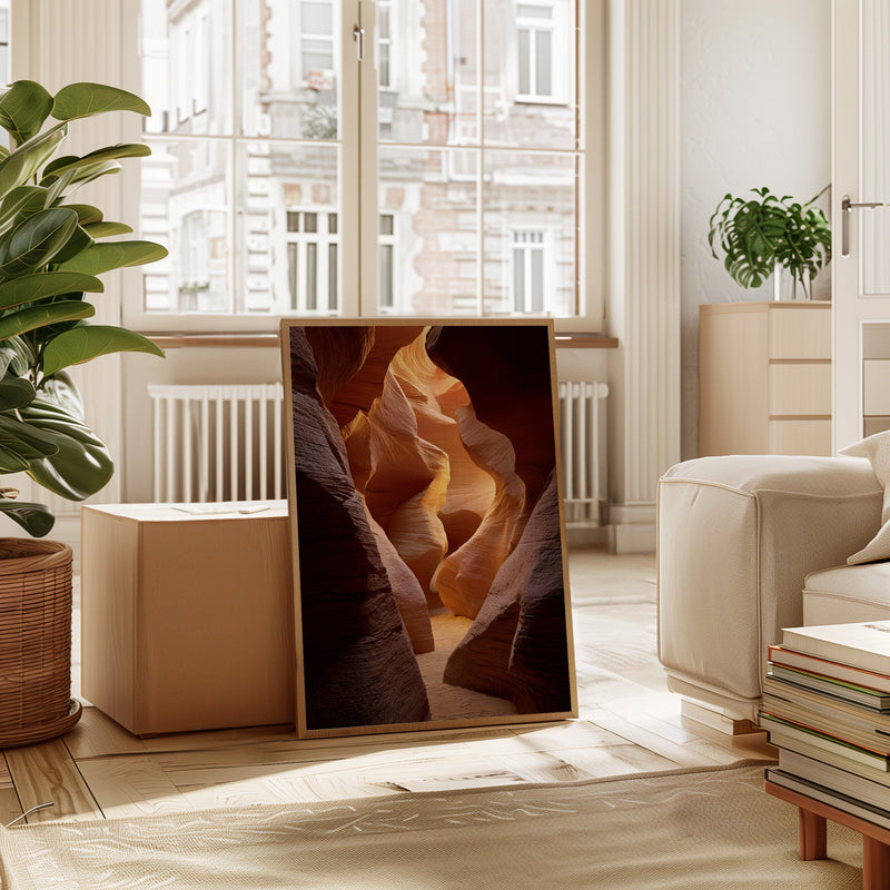 The Canyon's Golden Embrace