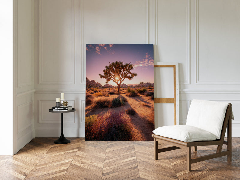 The Sun's Embrace on Desert Sage