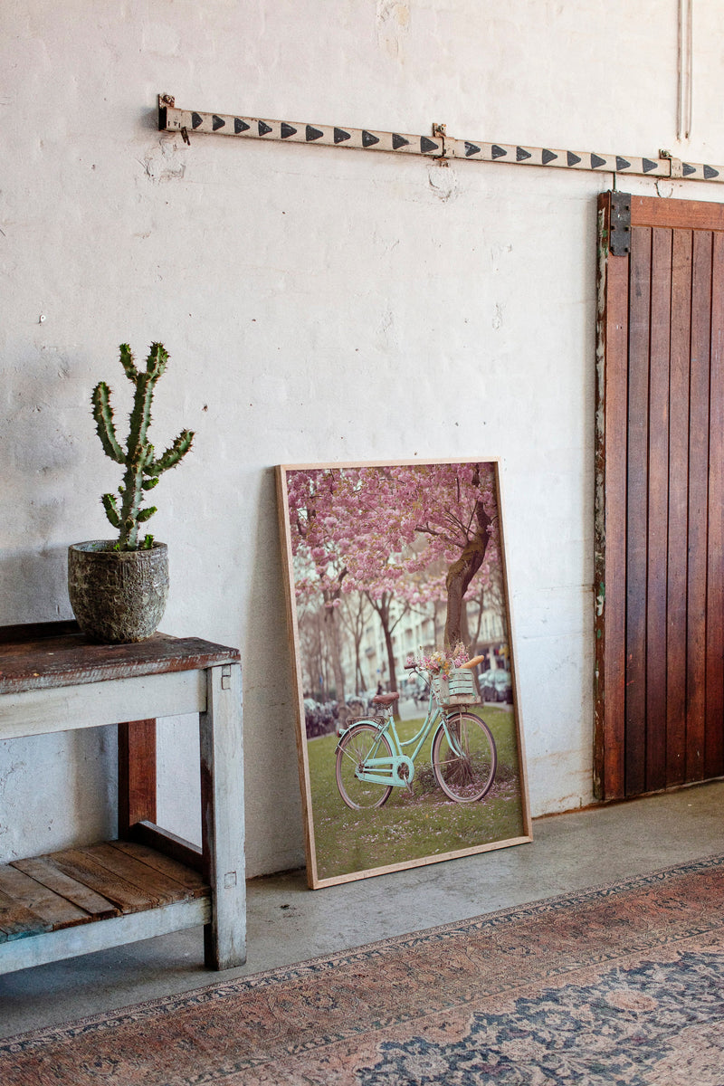 Bicycle Beneath Blossoming Canopy