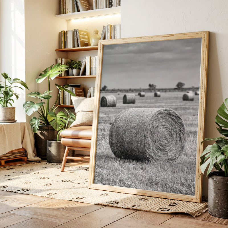 Harvested Echoes of Summer