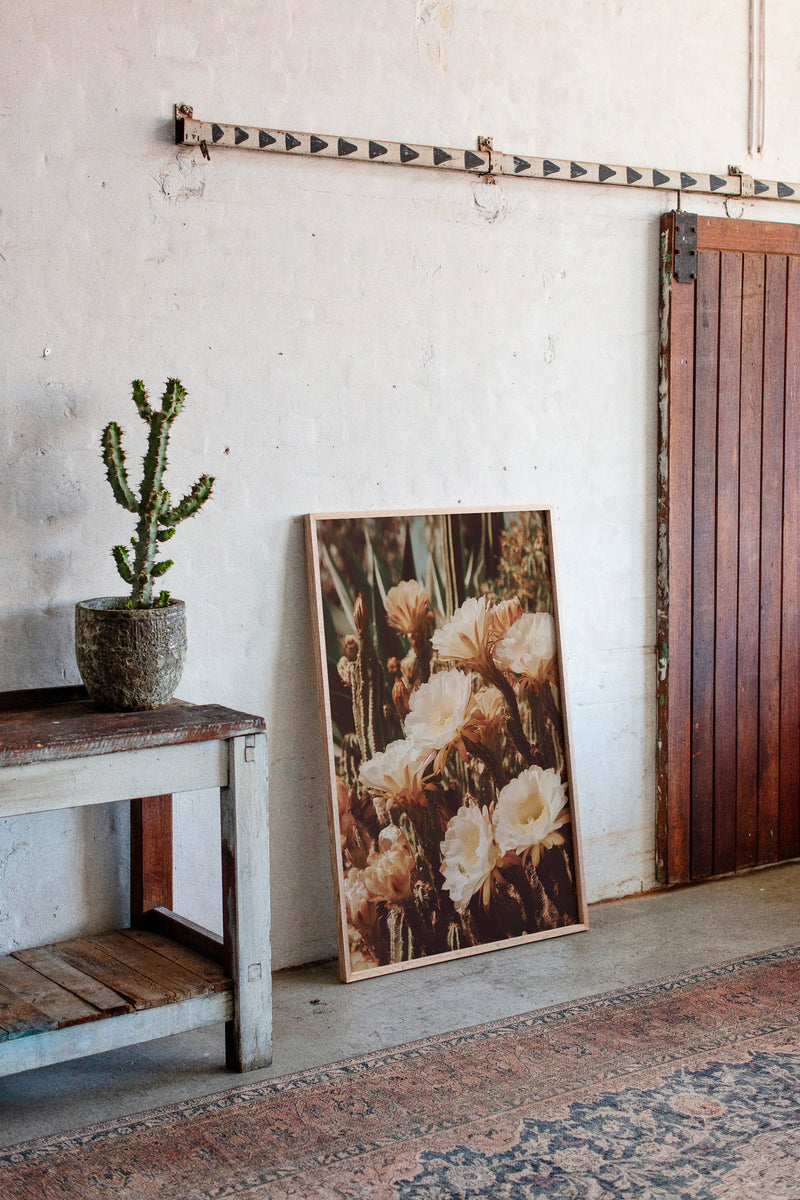 Eloquent Blooms Beneath the Sun