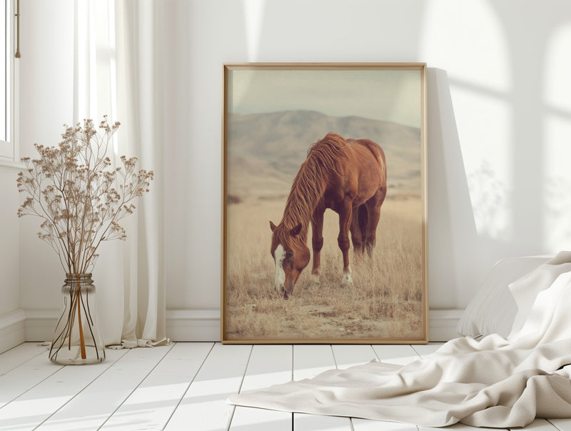 The Last Bite of Sunlit Grass